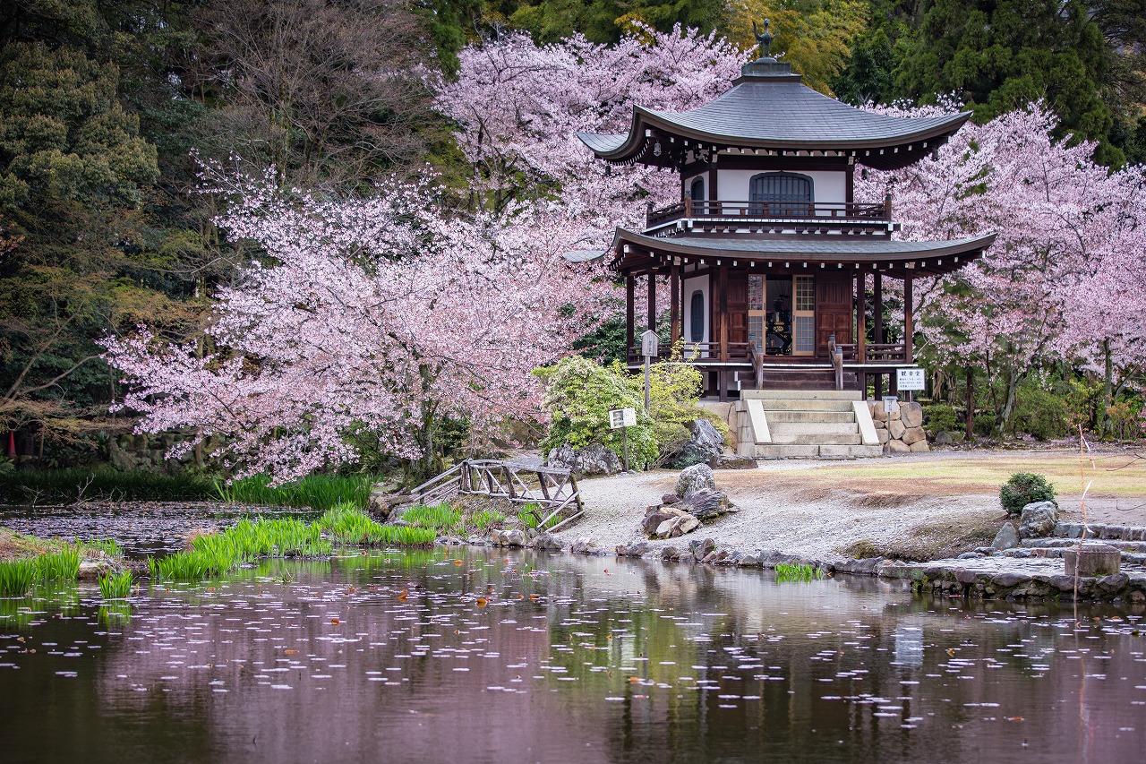 AdobeStock_330288760