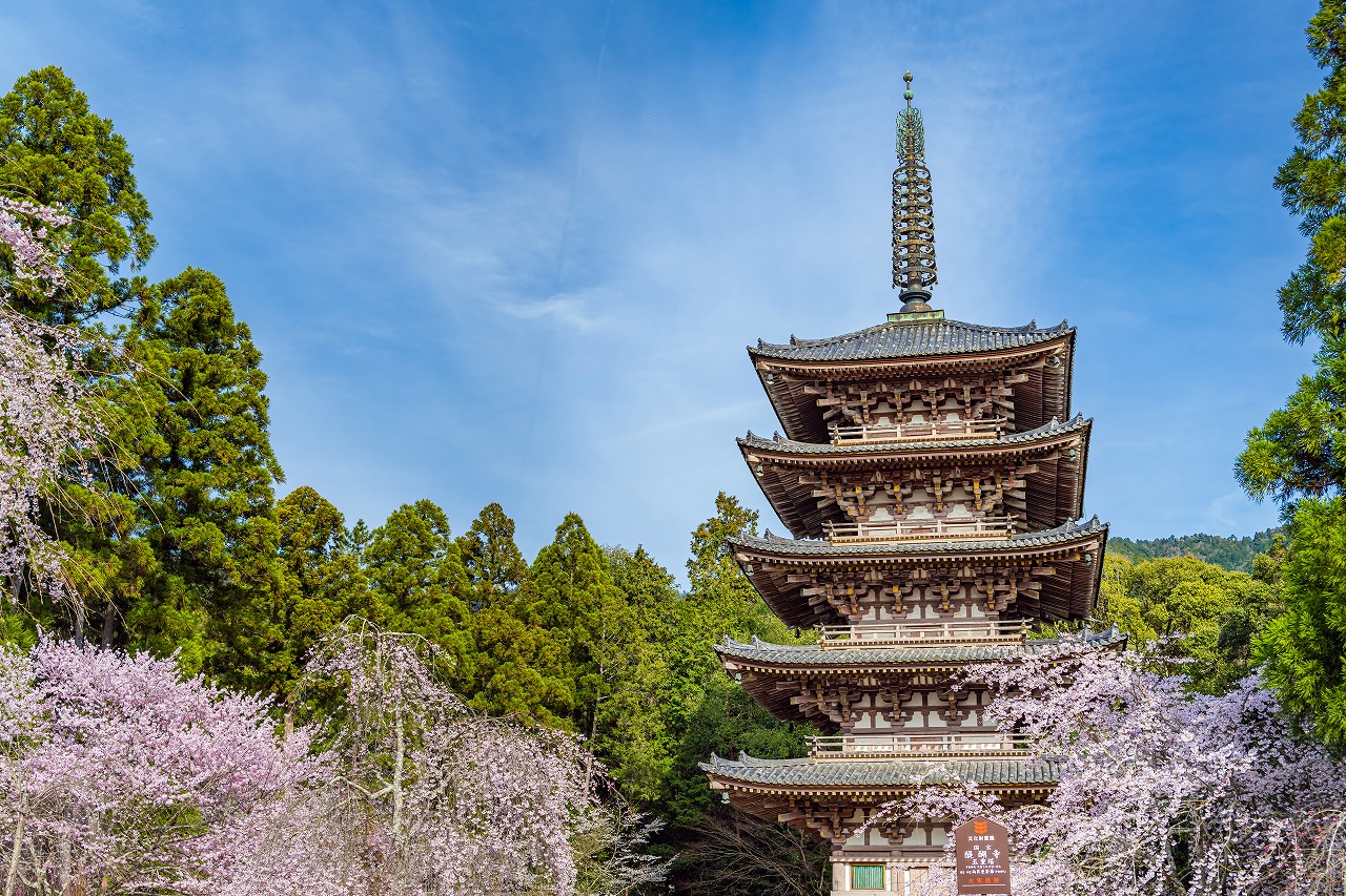 AdobeStock_761153520